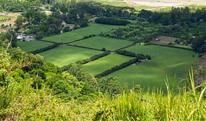 Comment savoir si mon terrain est constructible ?